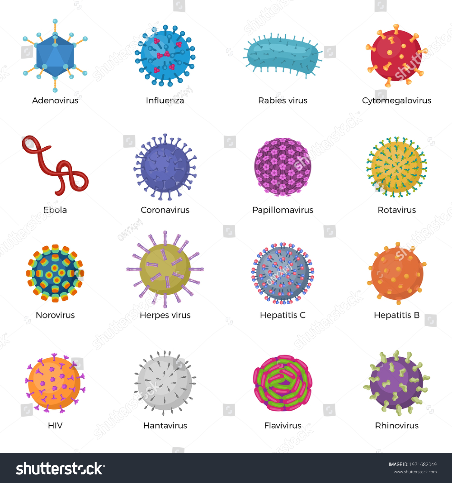 Flavivirus Stock Vectors, Images & Vector Art | Shutterstock