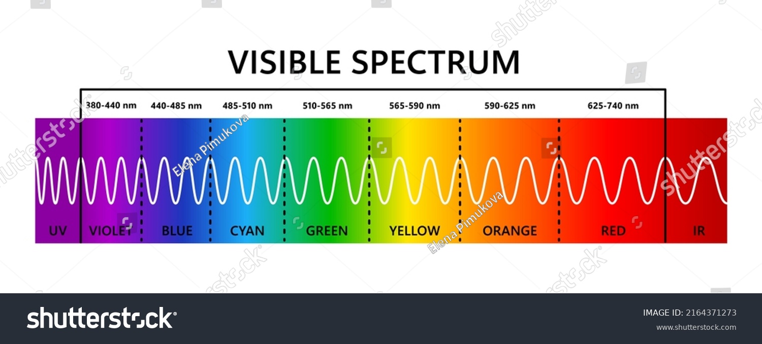 Visible Light Spectrum Infared Ultraviolet Optical Stock Vector ...