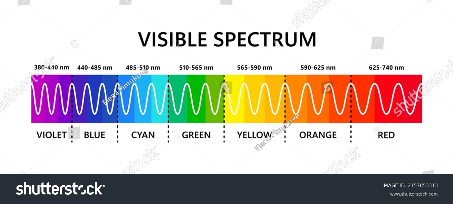 Visible Light Spectrum Optical Light Wavelength Stock Vector (Royalty ...