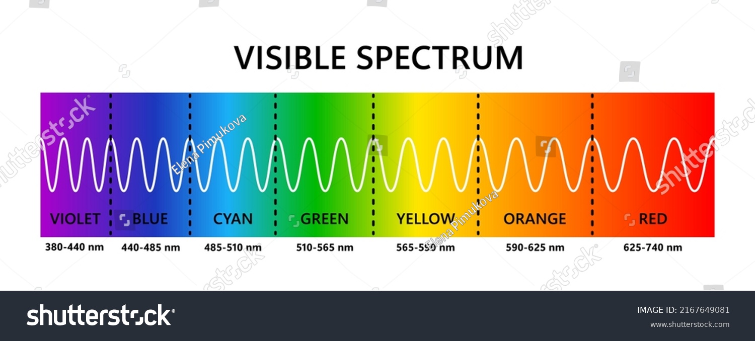 Visible Light Spectrum Optical Light Wavelength Stock Vector (Royalty ...