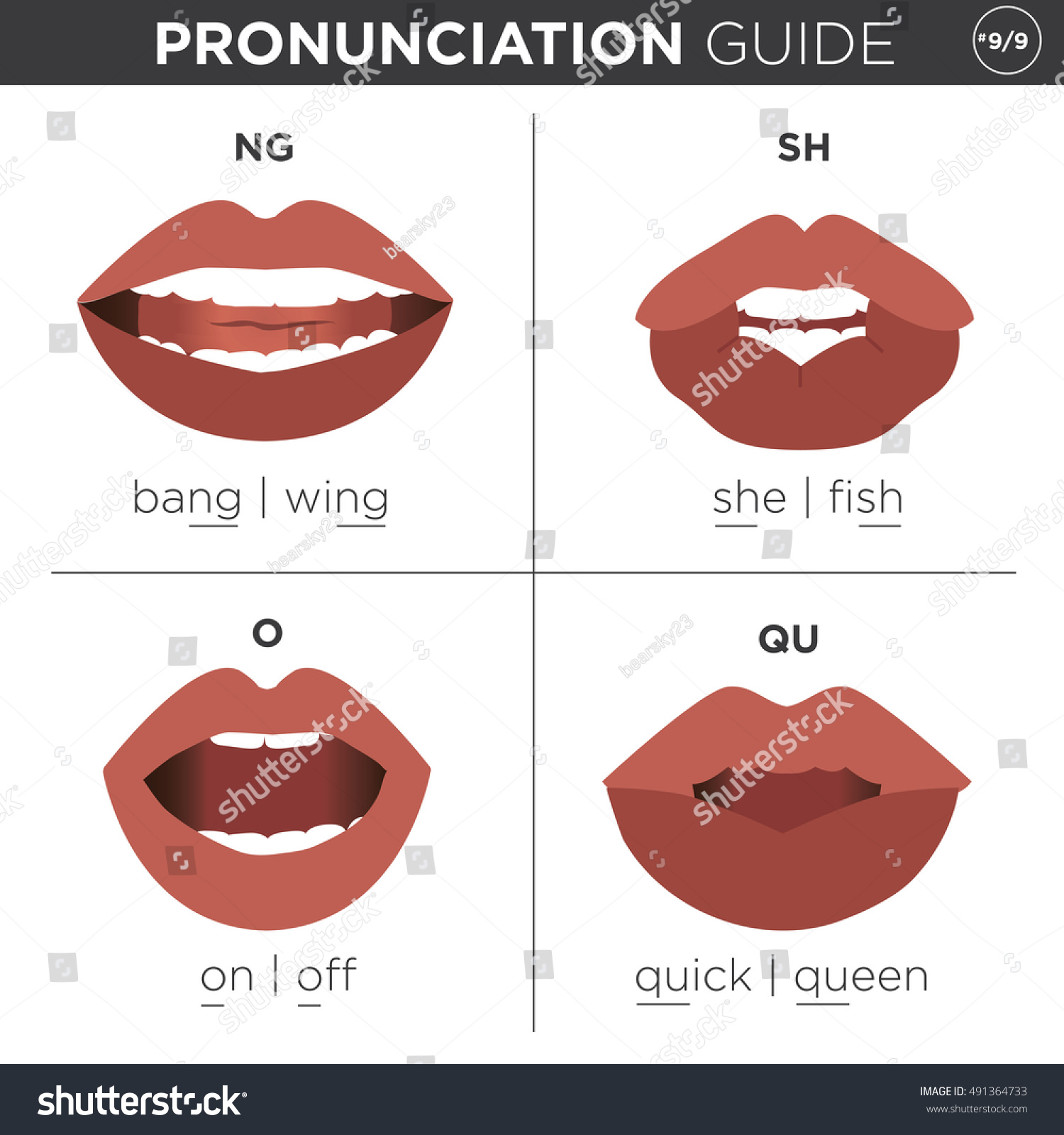 Visual Pronunciation Guide Mouth Showing Correct Stock Vector 491364733 Shutterstock 5439