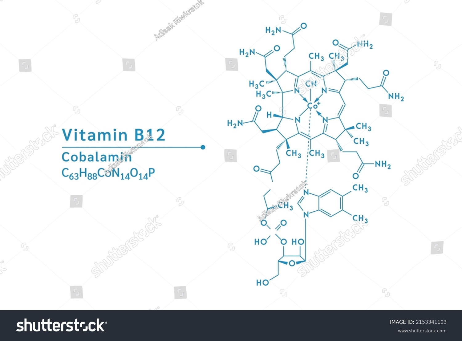 Vitamin B12 Cobalamin Structural Chemical Formula Stock Vector (Royalty ...