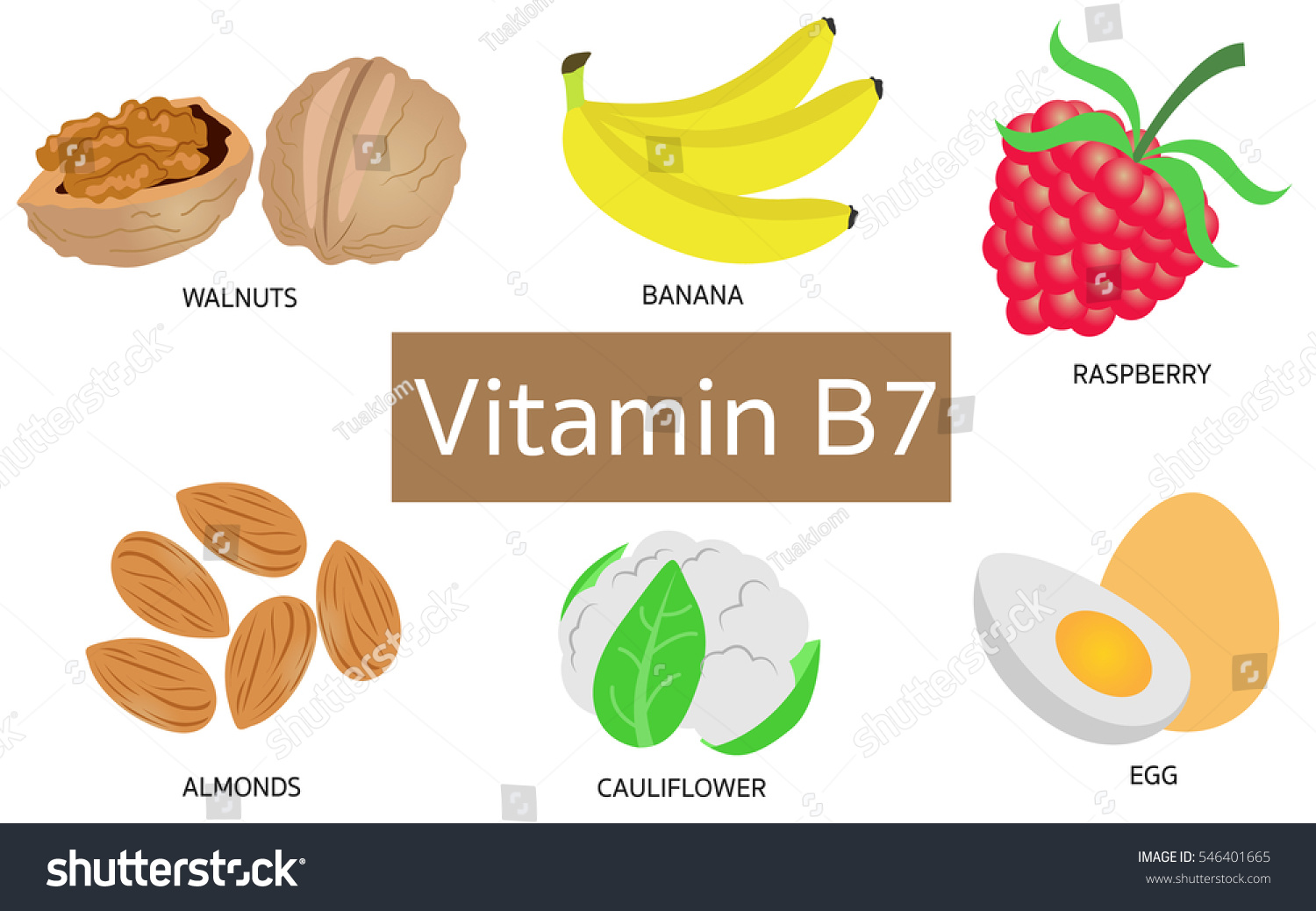 vitamin-b7-food-sources-on-white