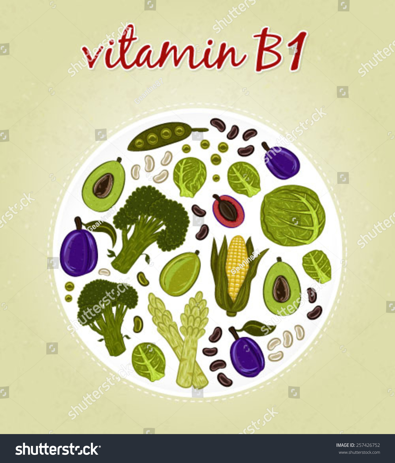 Vitamin B1 Fruits Vegetables Vector Illustration เวกเตอร์สต็อก ปลอดค่าลิขสิทธิ์ 257426752