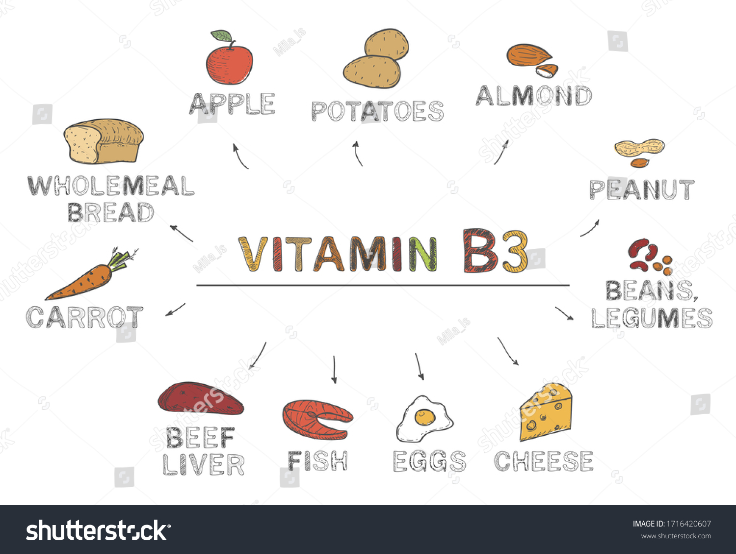 Vitamin B3 Niacin Foods Rich B3: เวกเตอร์สต็อก (ปลอดค่าลิขสิทธิ์ ...