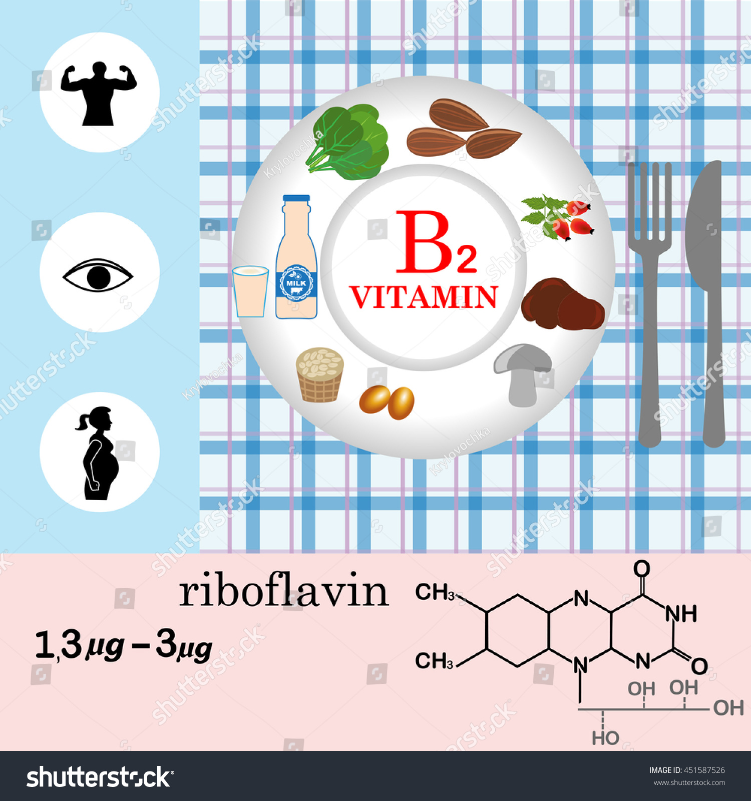 Vitamin B2 Nutrition Infographic Medical Food Stock Vector (Royalty ...