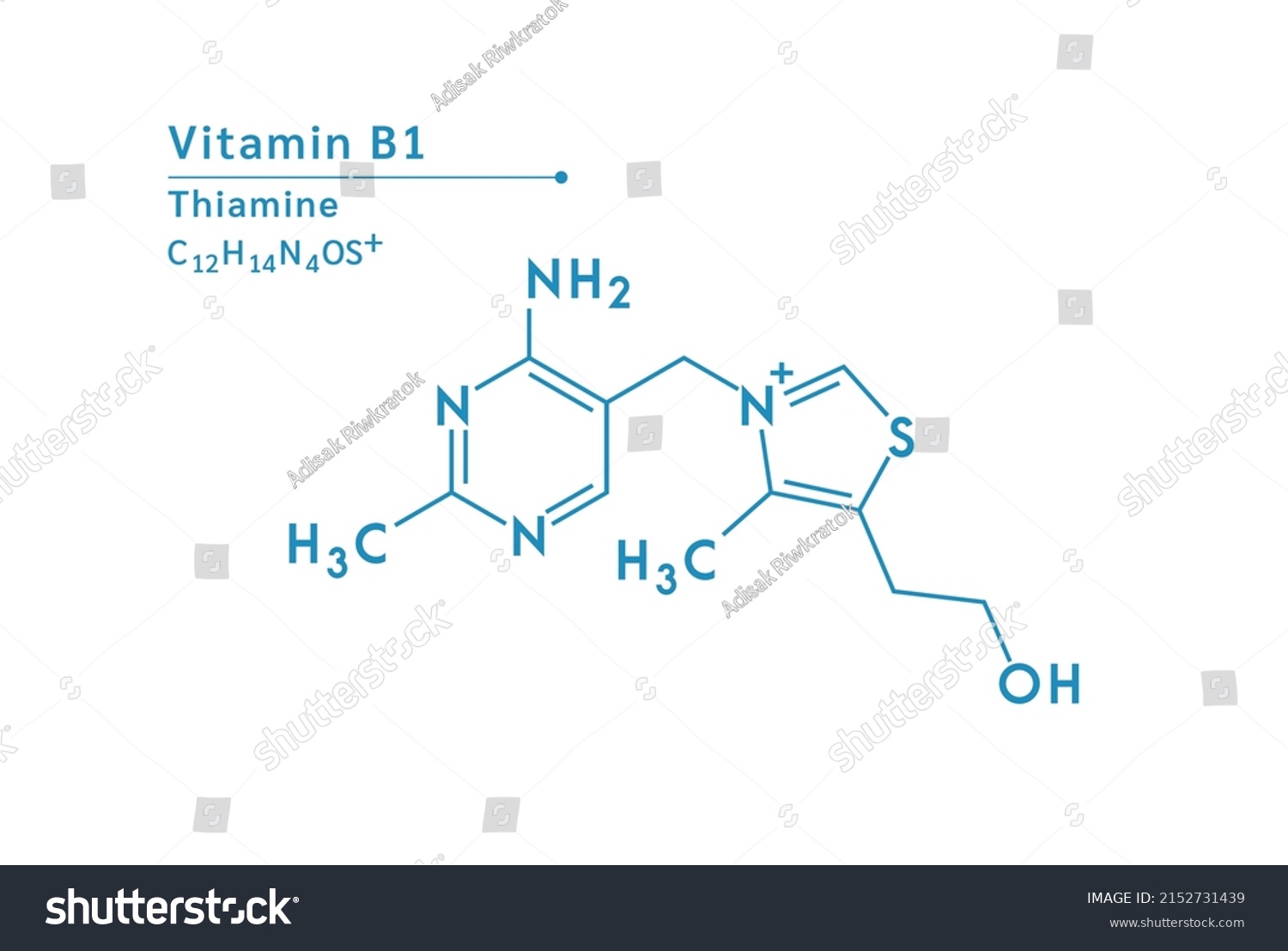 Vitamin B1 Thiamine Structural Chemical Formula Stock Vector (Royalty ...