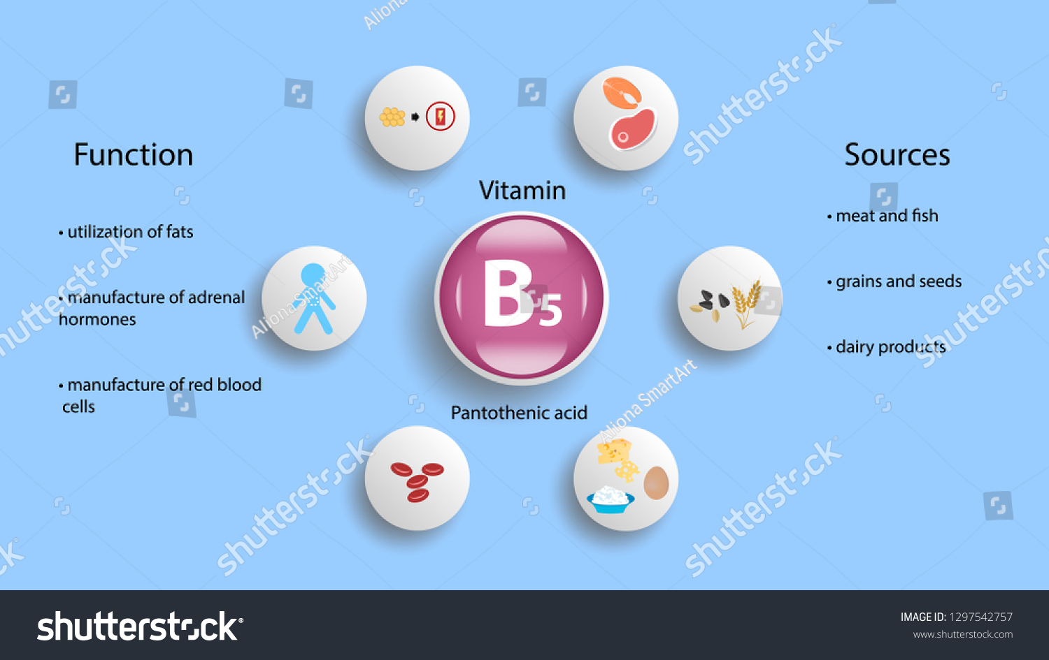 Vitamin B5 Vector Design Vitamin B5 Stock Vector (Royalty Free ...