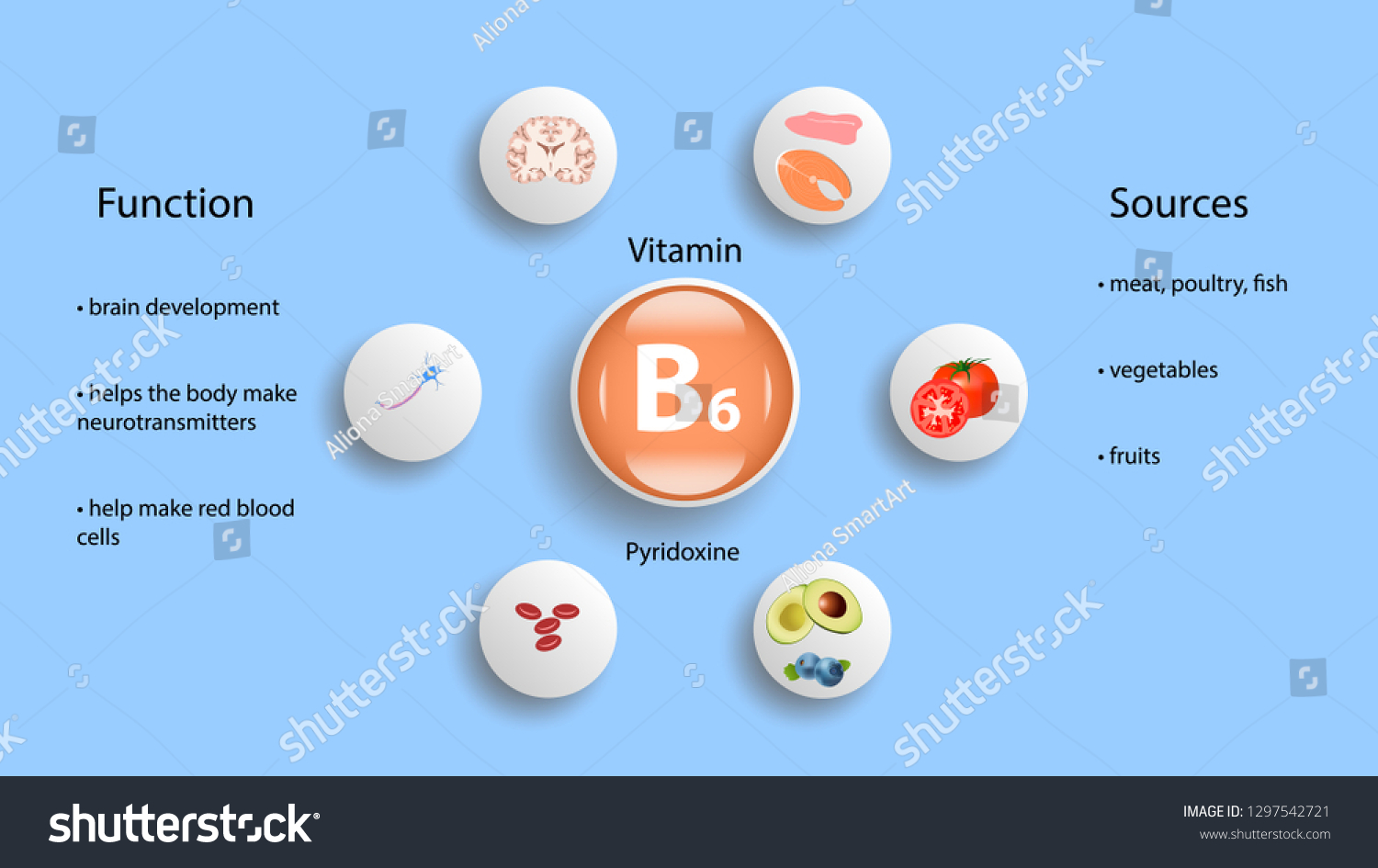 Vitamin B6 Vector Design Vitamin B6 Stock Vector (Royalty Free ...