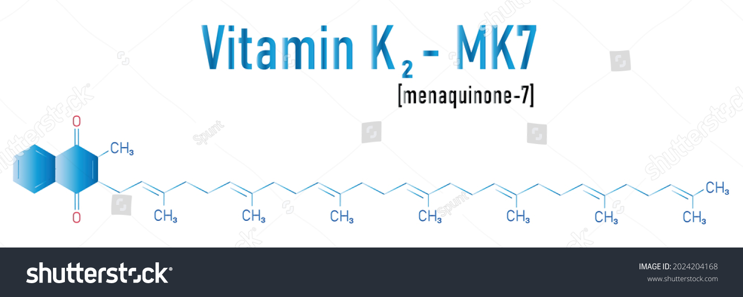 Vitamin K2 Menaquinone Molecule Skeletal Formula Stock Vector (royalty 