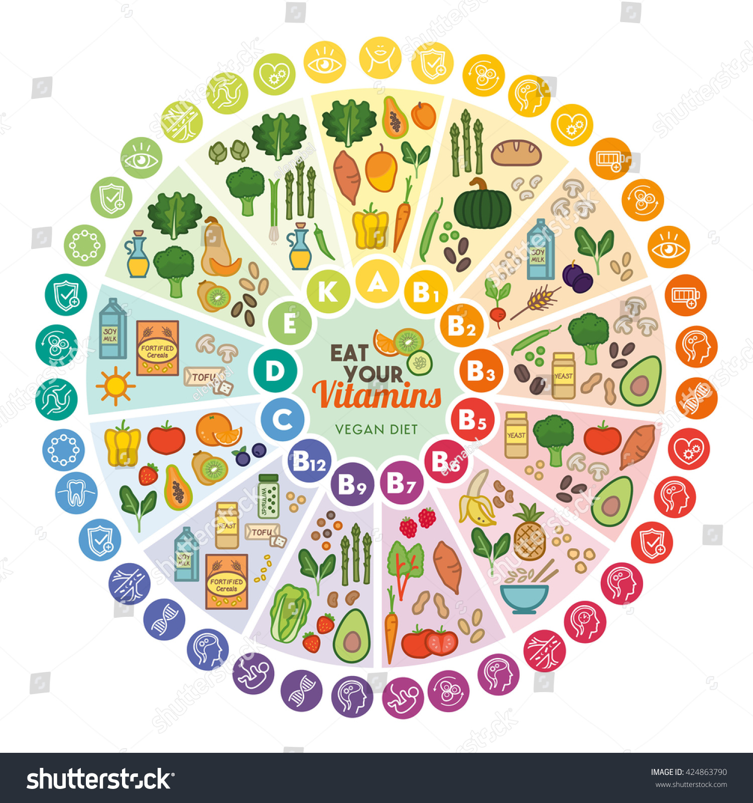 Vitamin Vegan Food Sources And Functions, Rainbow Wheel Chart With Food ...