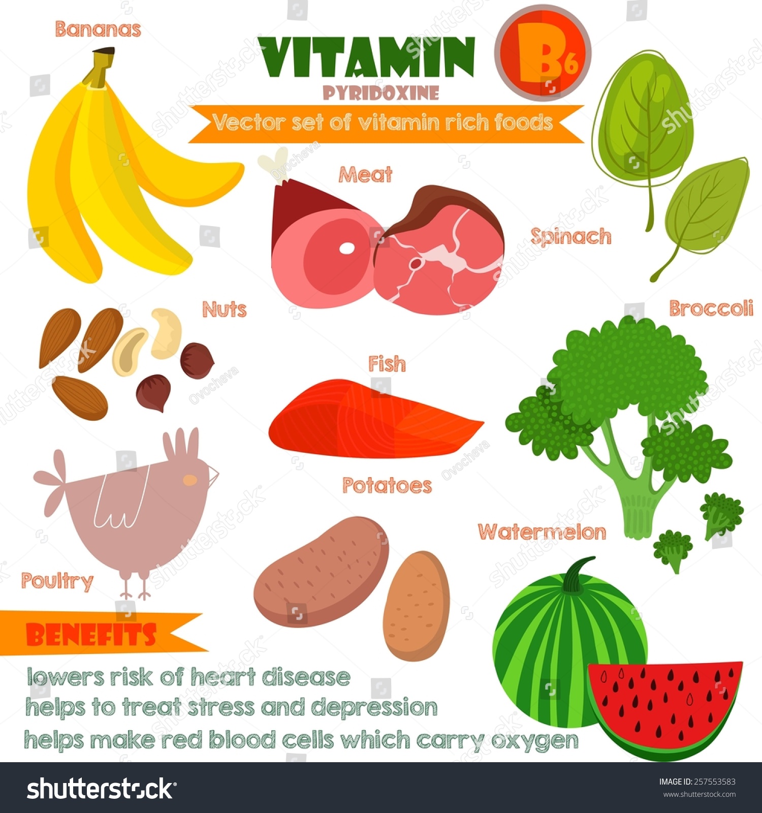 Vitamins Minerals Foods Illustrator Set 10vector Stock Vector 257553583