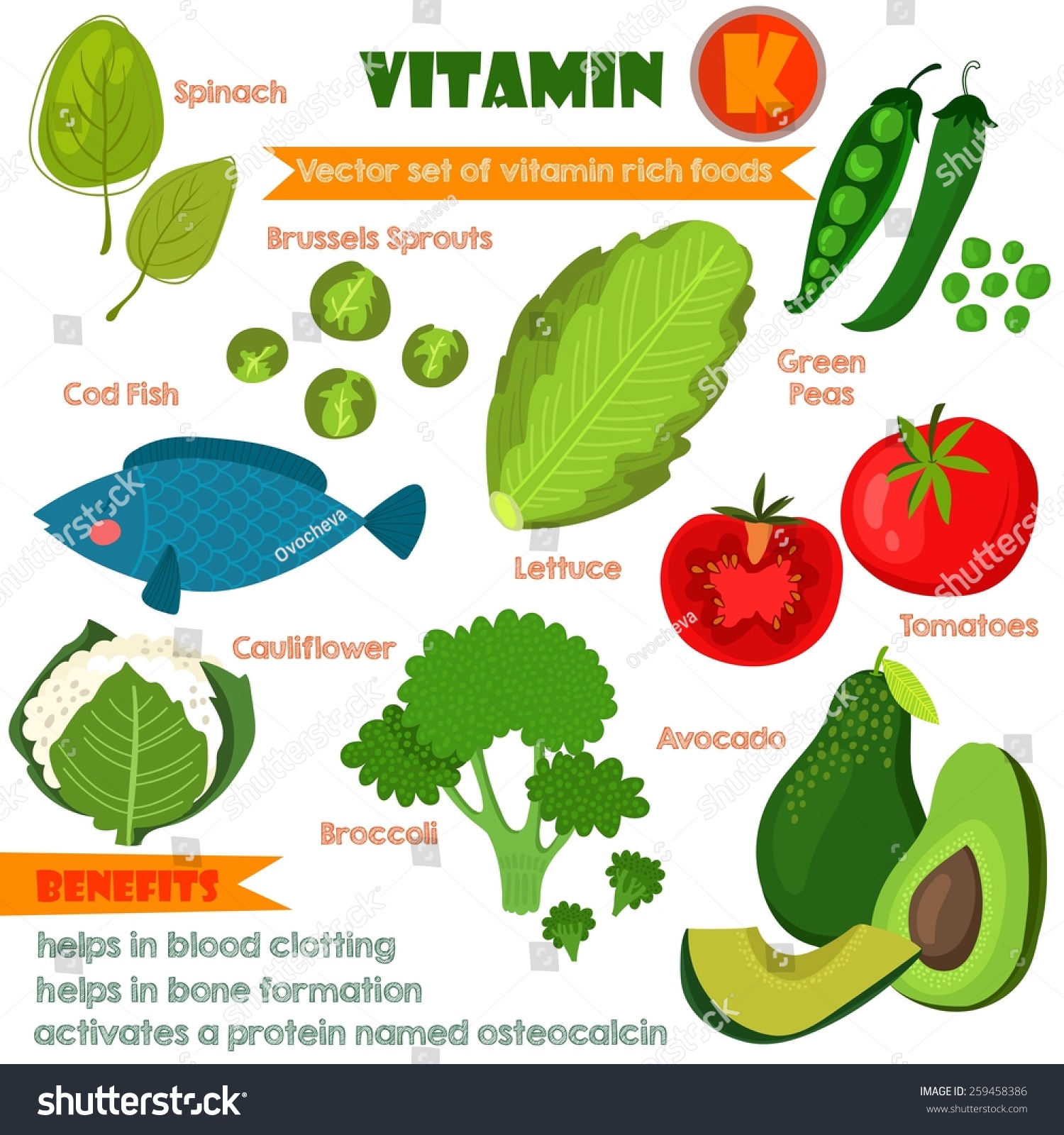 Which vegetables have Vitamin K?