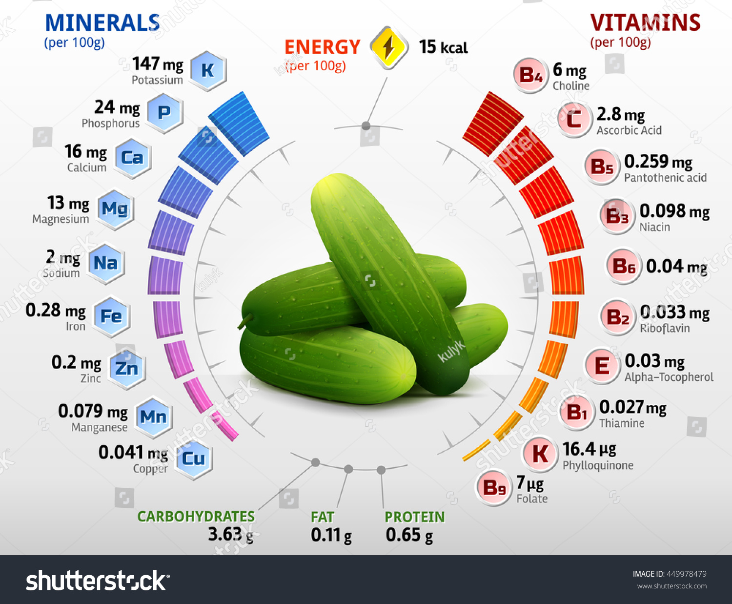 Vitamins Minerals Cucumber Fruit Infographics About Stock Vector