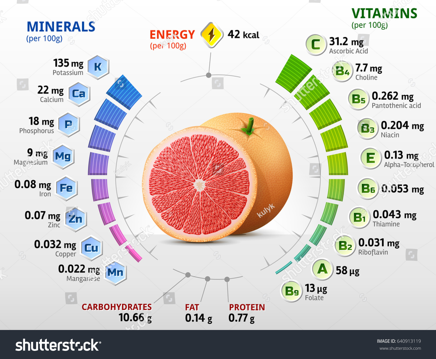 Vitamins Minerals Grapefruit Infographics About Nutrition Stock Vector