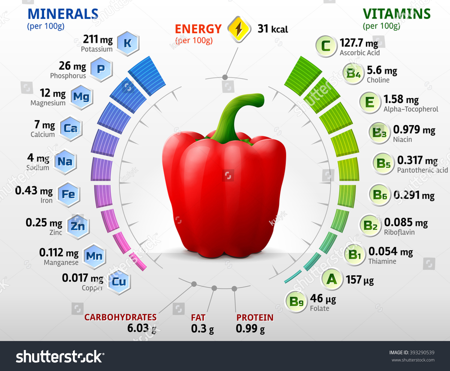 vitamins minerals red bell pepper infographics stock vector (royalty