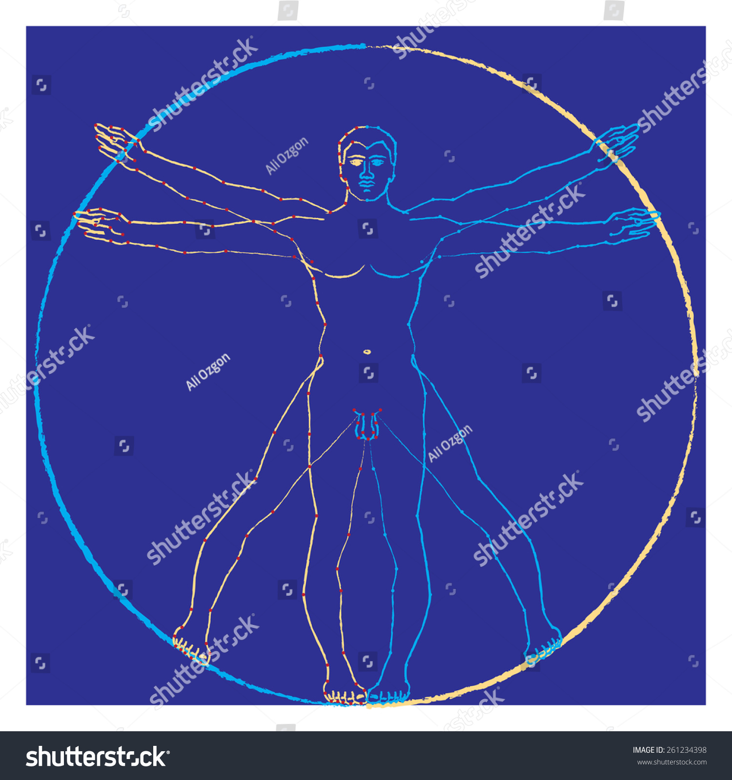 Vitruvian Man Vector Illustration Stock Vector Royalty Free Shutterstock