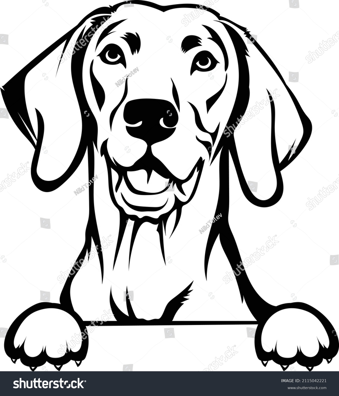 378 Vizsla Stock Vectors, Images & Vector Art | Shutterstock