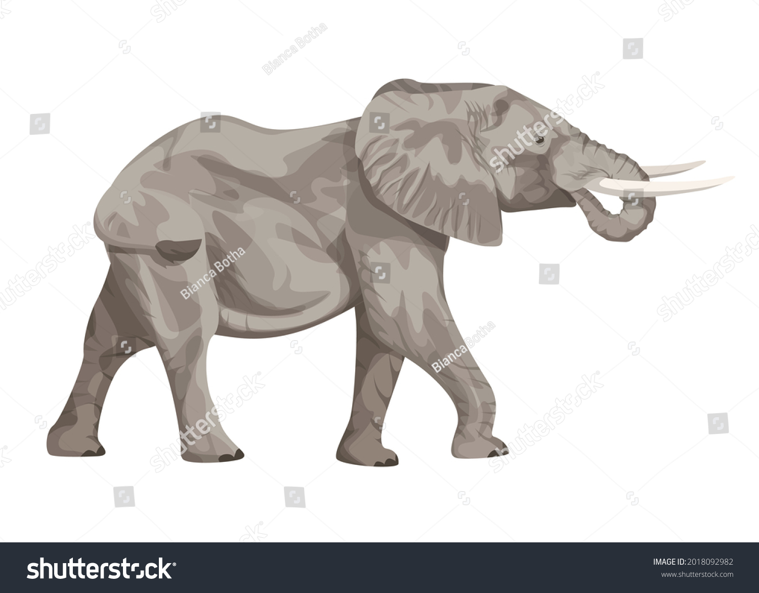 Walking Elephant Head Tilted Stock Vector (Royalty Free) 2018092982 ...