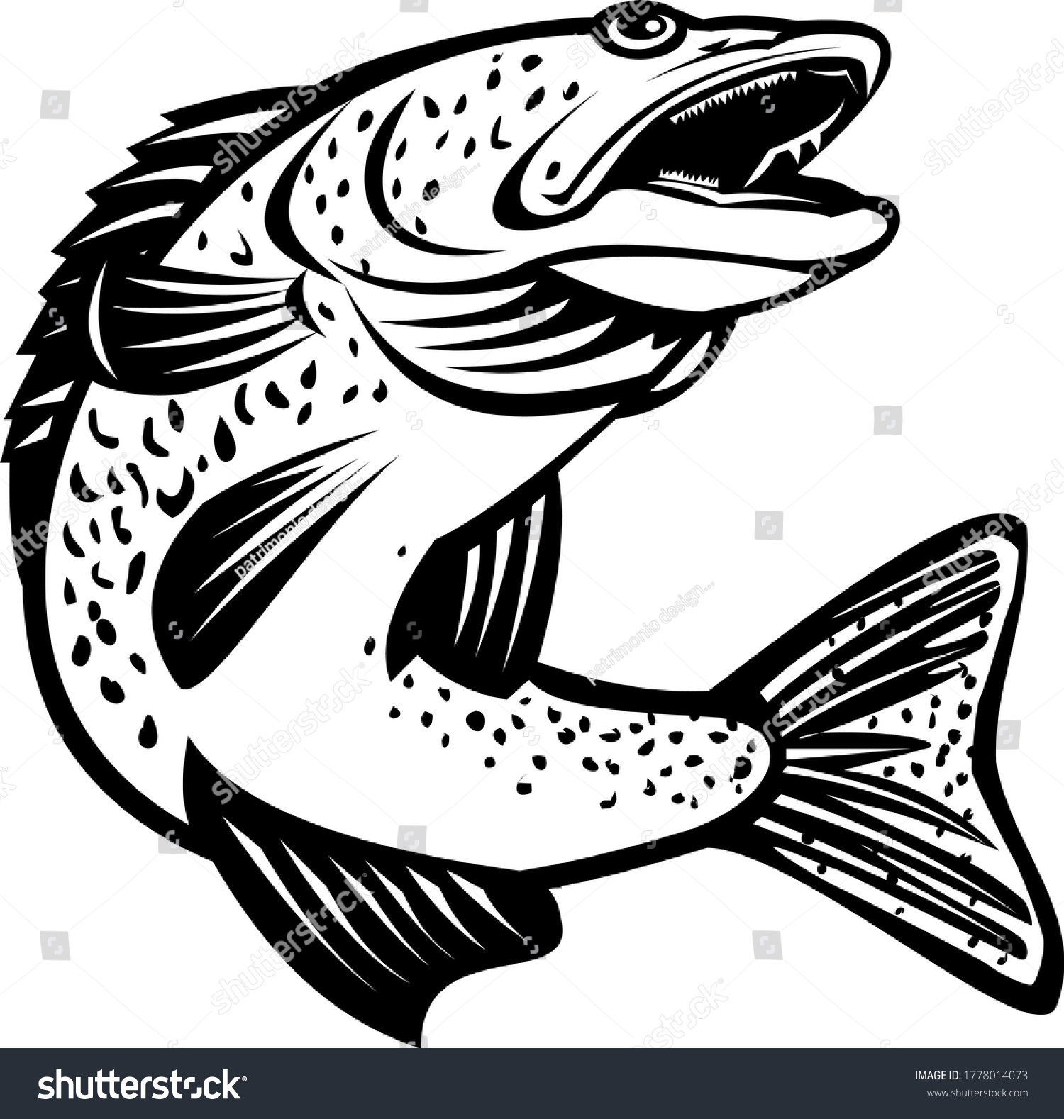 Pickerel Images, Stock Photos & Vectors | Shutterstock