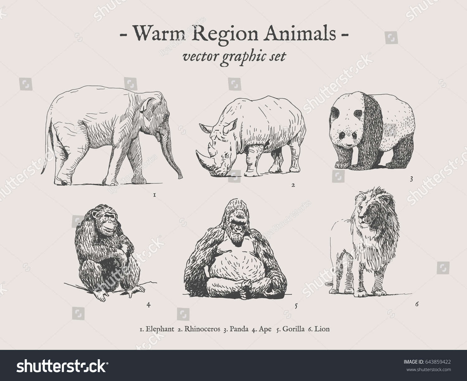 animals drawings