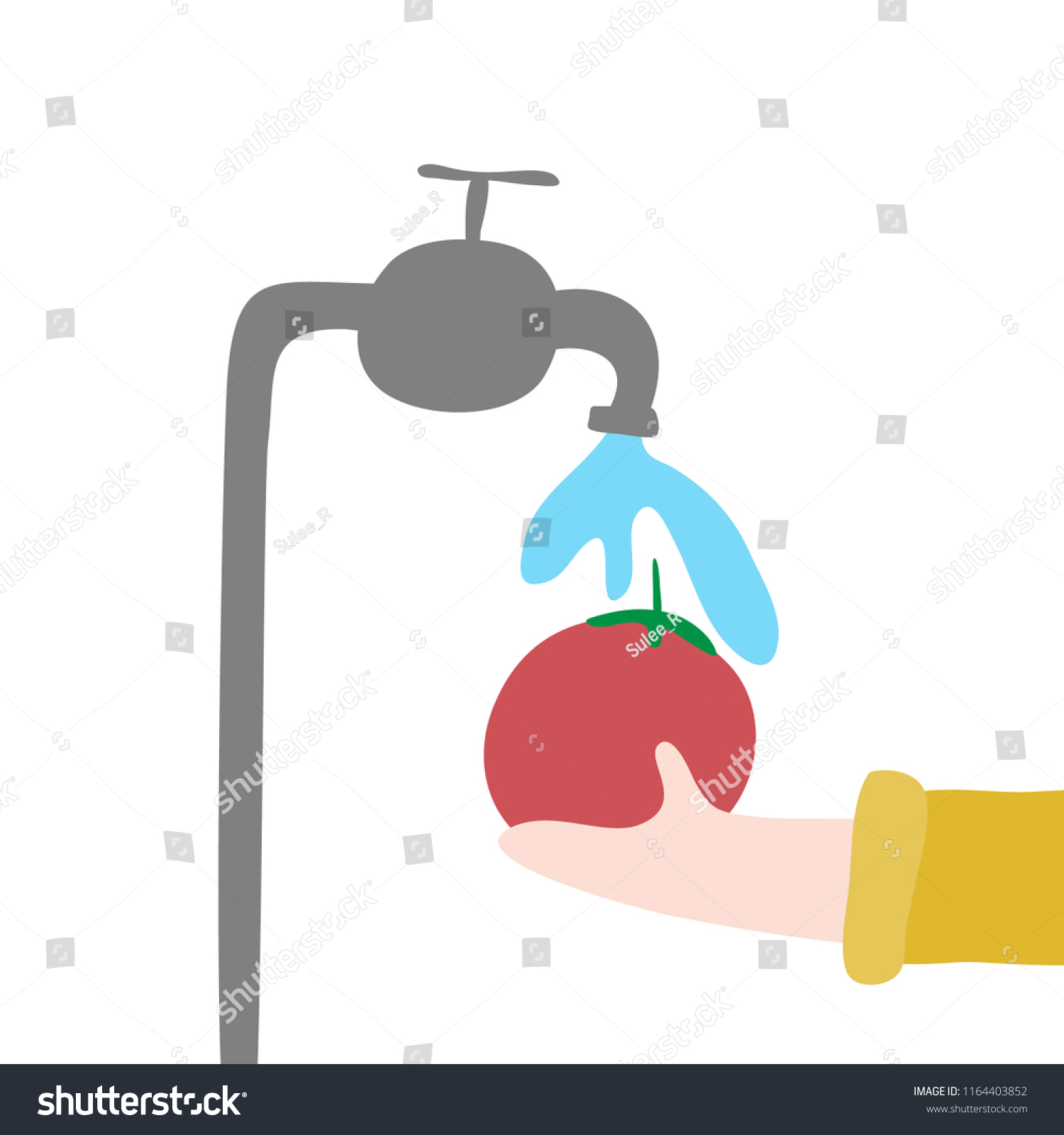 Featured image of post Cartoon Washing Vegetables Clipart