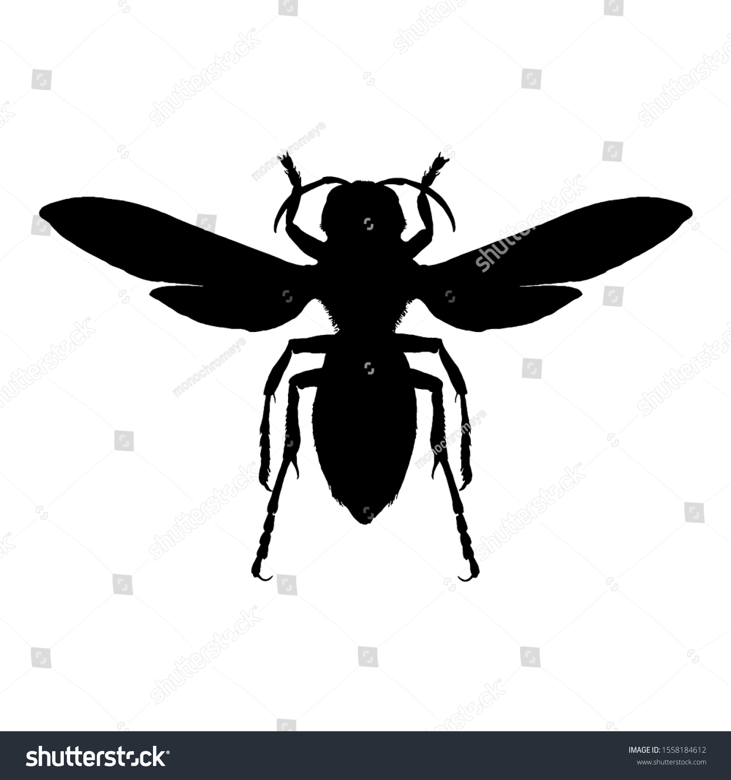 Wasp Silhouette Black White Ink Hornet Stock Vector (Royalty Free ...