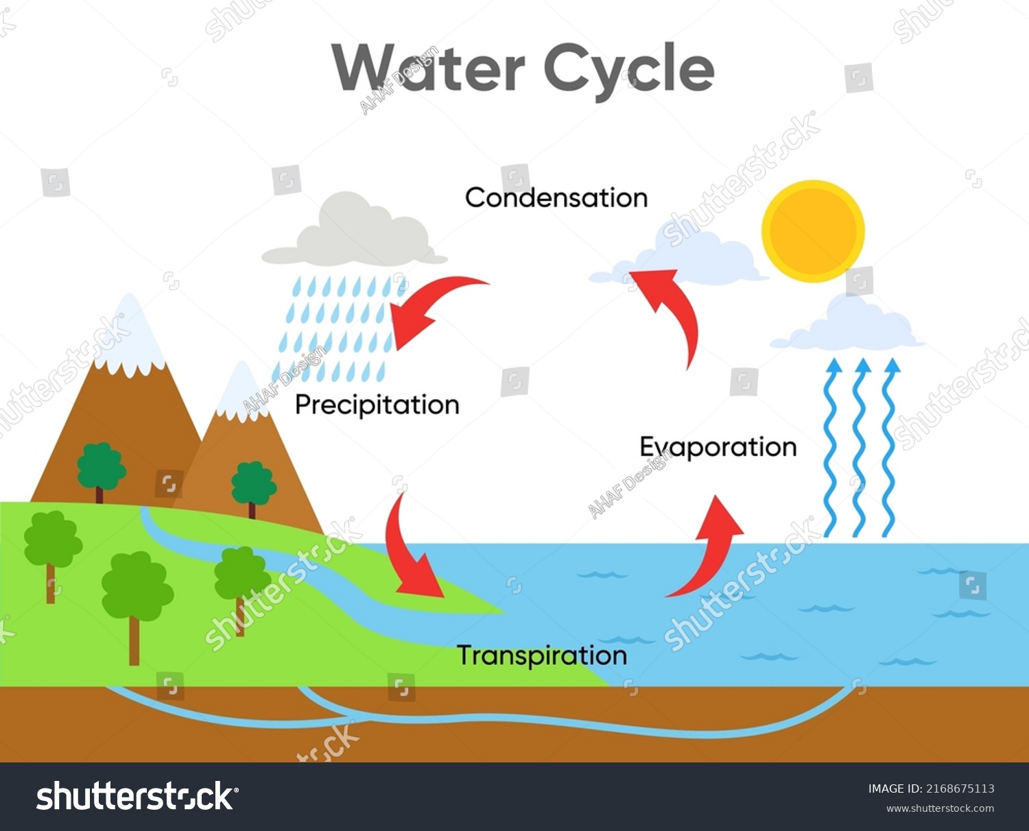 Water Cycle Diagram Rainfall Ocean Vector Stock Vector (Royalty Free ...