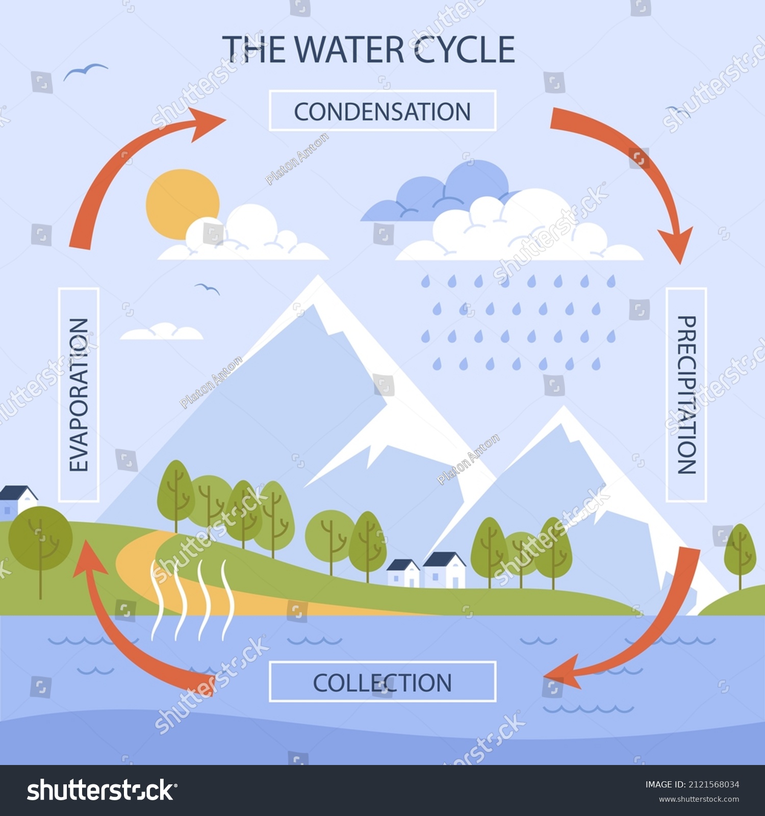 Water Cycle Infographic Ecosystem Concept Water Stock Vector (Royalty ...