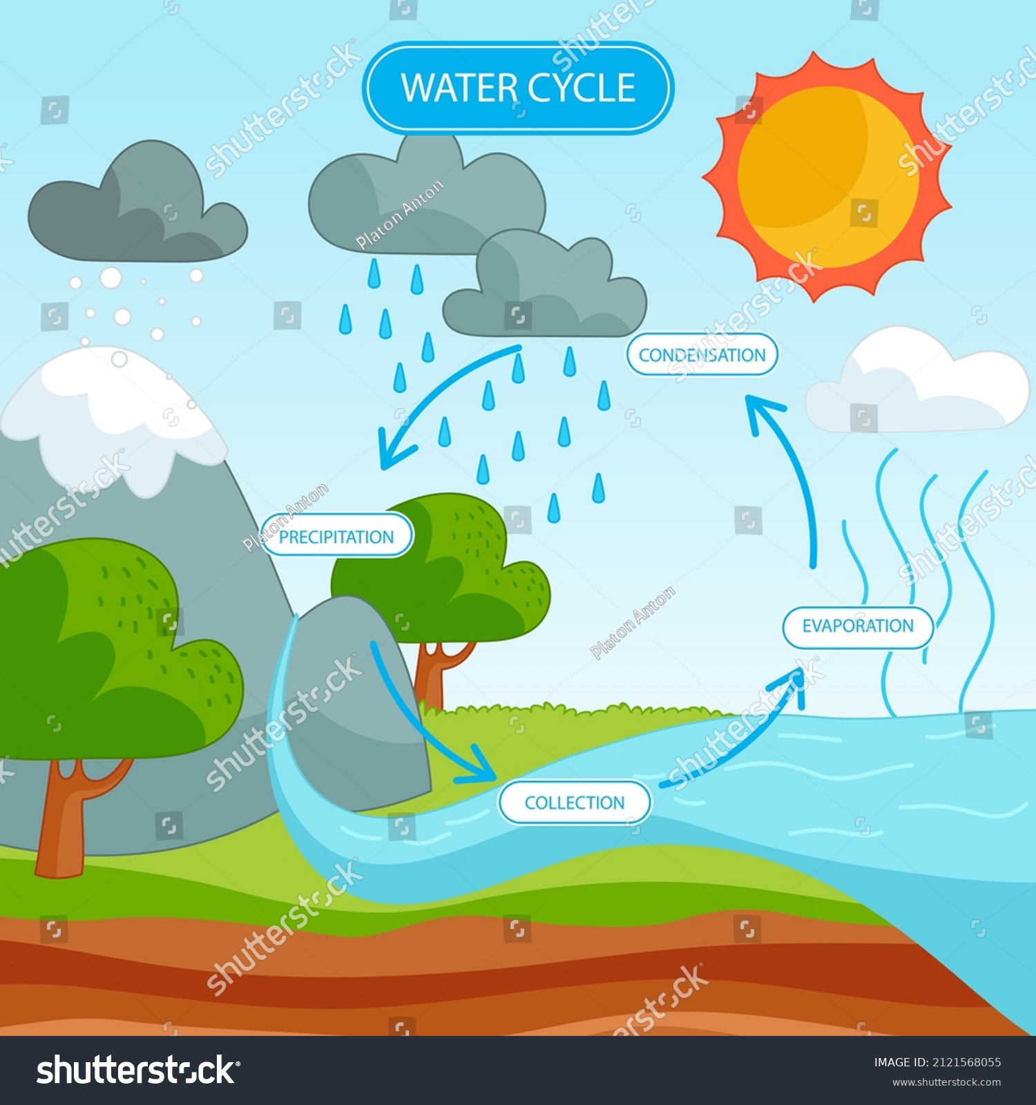 Water Cycle Infographic Ecosystem Concept Water Stock Vector (Royalty ...