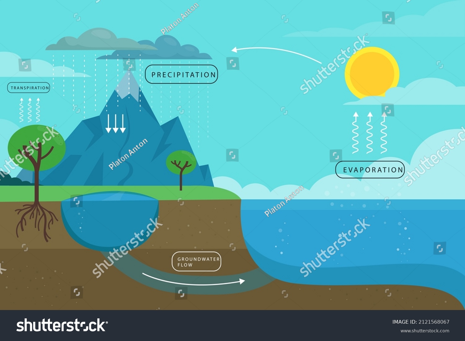 Water Cycle Infographic Ecosystem Concept Water Stock Vector Royalty