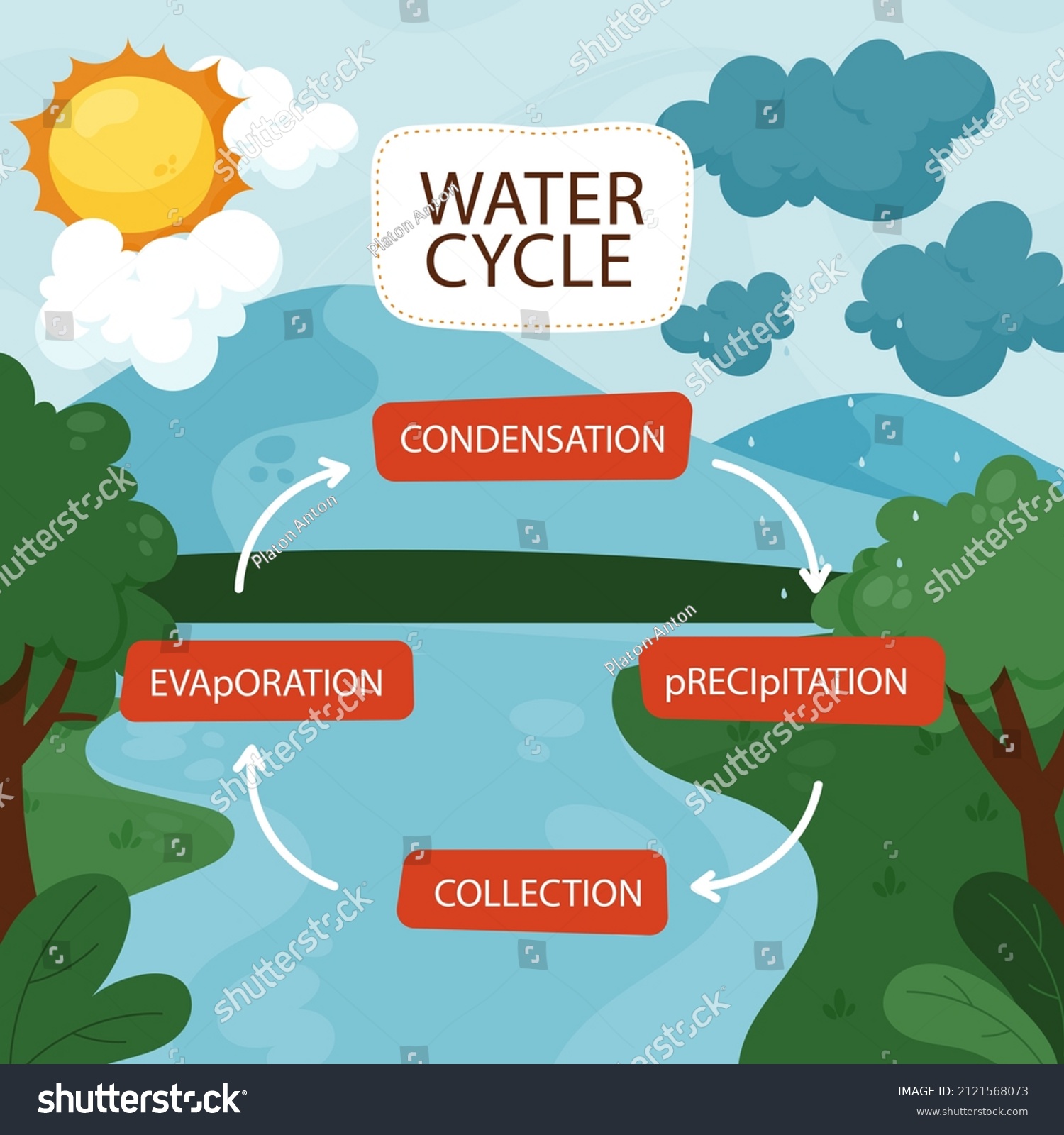 Water Cycle Infographic Ecosystem Concept Water Stock Vector (Royalty ...