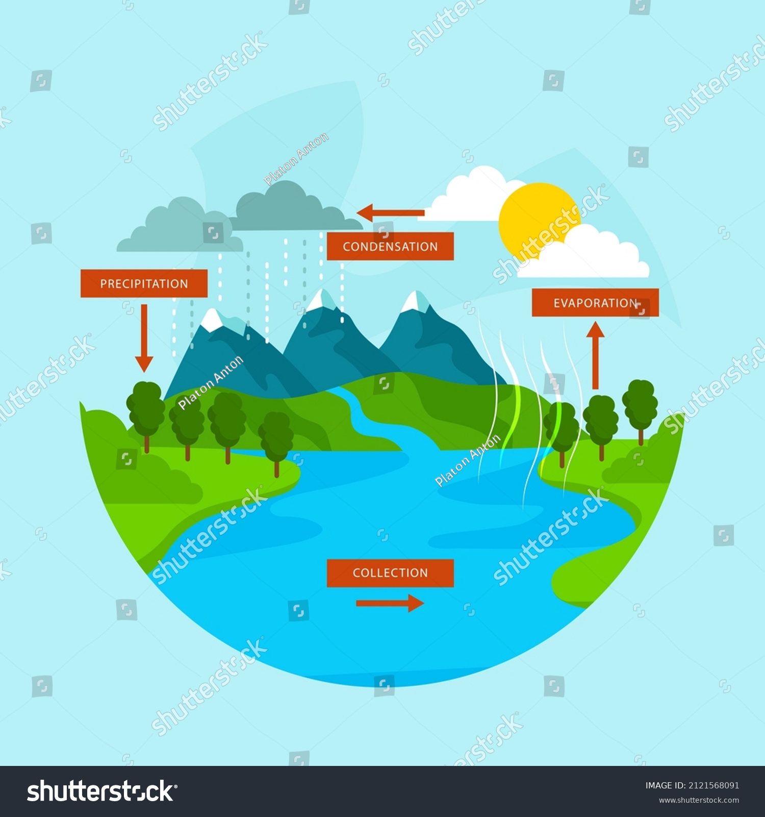 Water Cycle Infographic Ecosystem Concept Water Stock Vector (Royalty ...