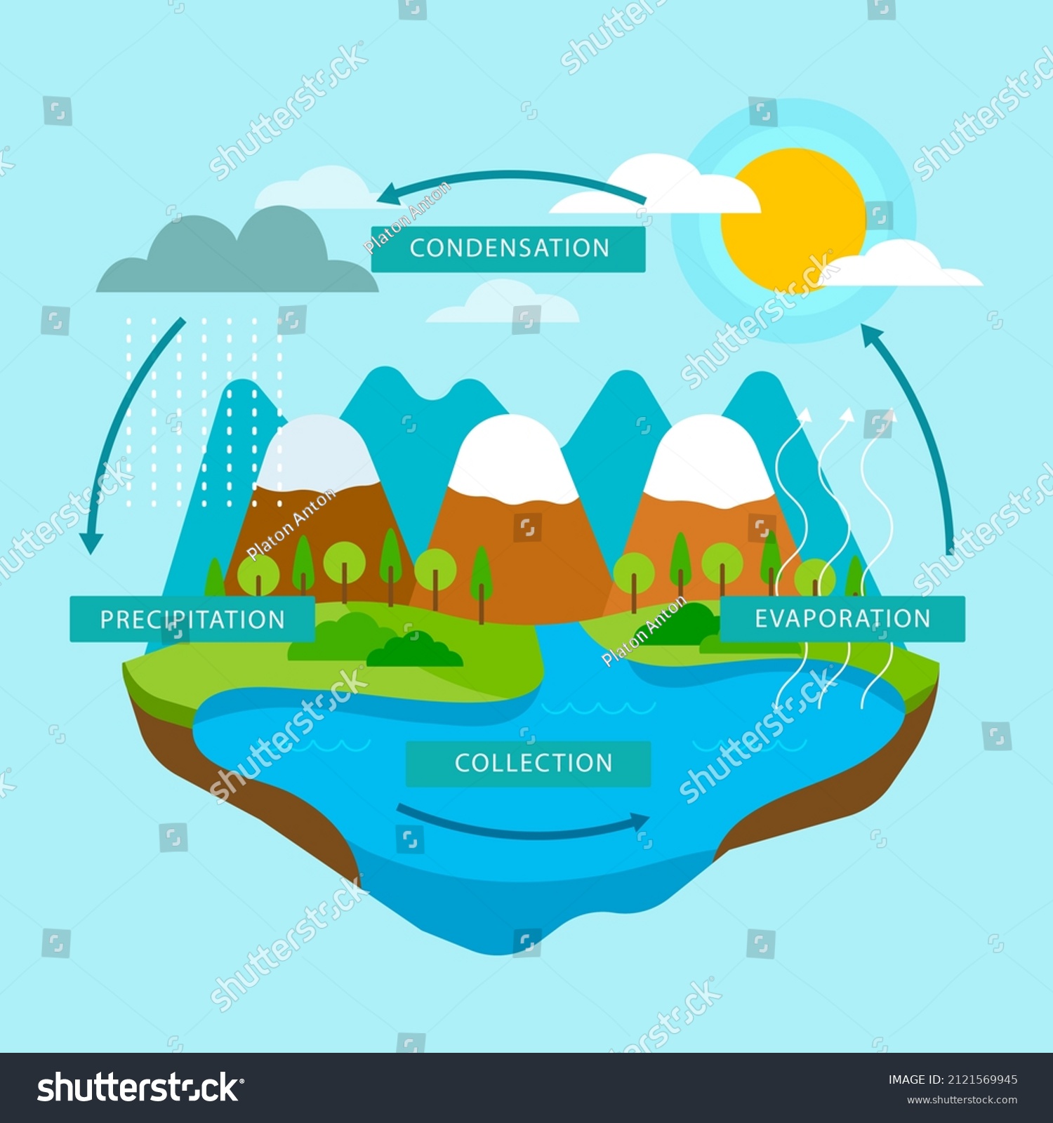 Water Cycle Infographic Ecosystem Concept Water Stock Vector (Royalty ...