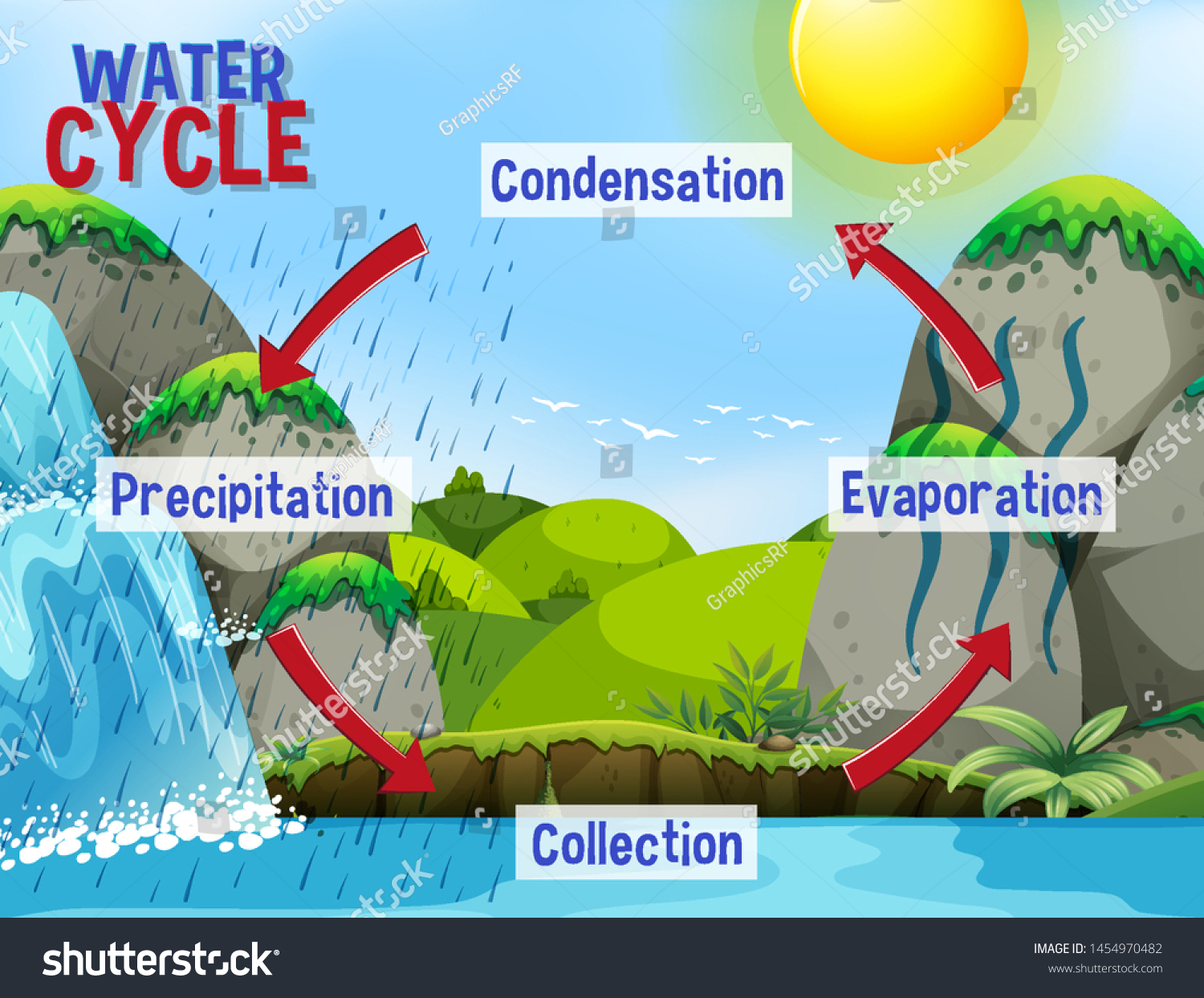 Water Cycle On Planet Earth Stock Vector (Royalty Free) 1454970482