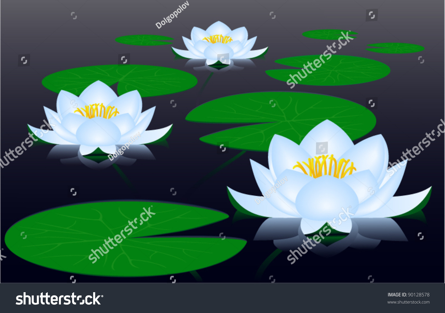 Water Lilies Stock Vector 90128578 Shutterstock