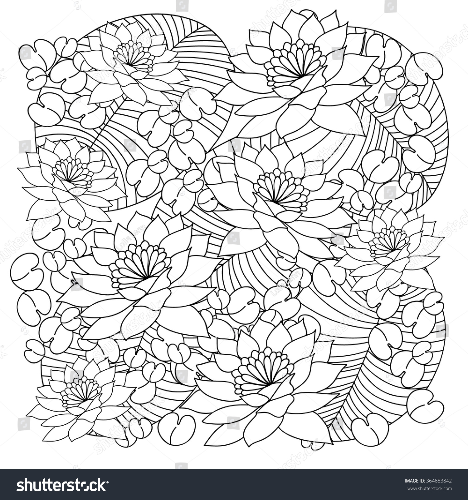 Water Lilies, Swamp, Duckweed. Hand Drawn Vector Illustration. Black ...