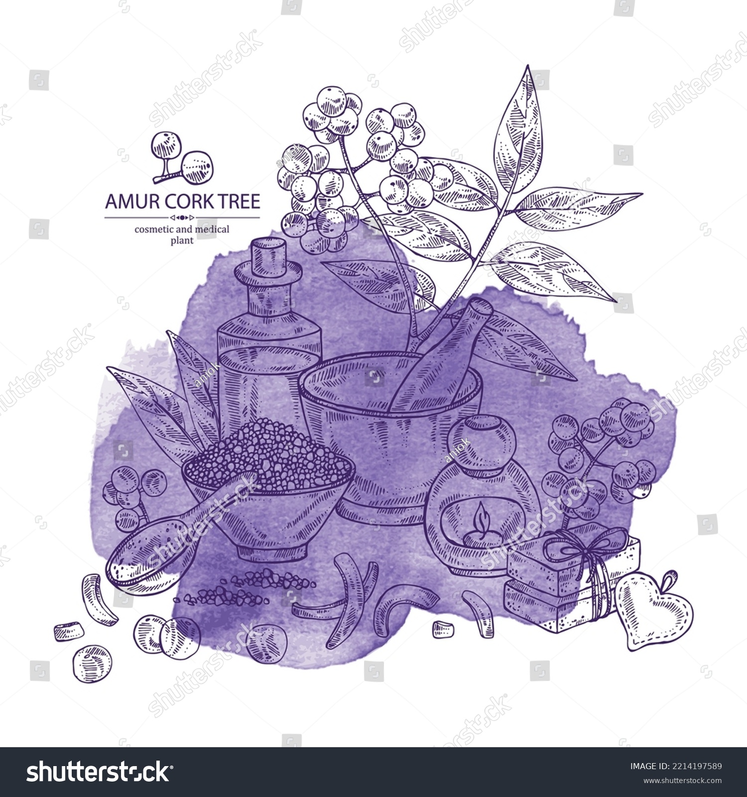 SVG of Watercolor background with  amur cork tree: amur cork berries, plant and amur cork tree bark. Phellodendron amurense. Oil, soap and bath salt . Cosmetics and medical plant. Vector hand drawn illustra svg