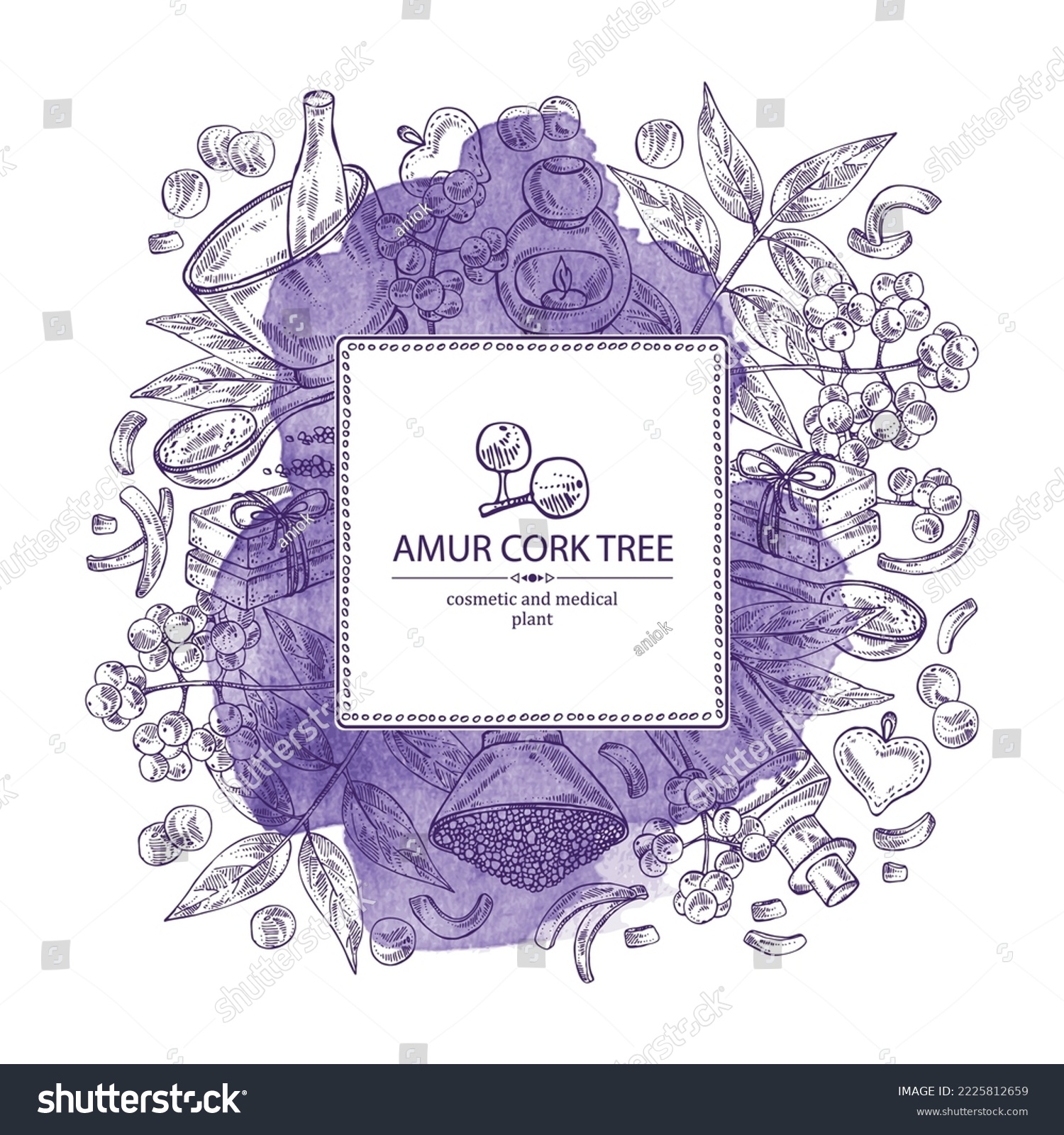 SVG of Watercolor background with  amur cork tree: amur cork berries, plant and amur cork tree bark. Phellodendron amurense. Oil, soap and bath salt . Cosmetics and medical plant. Vector hand drawn illustrat svg