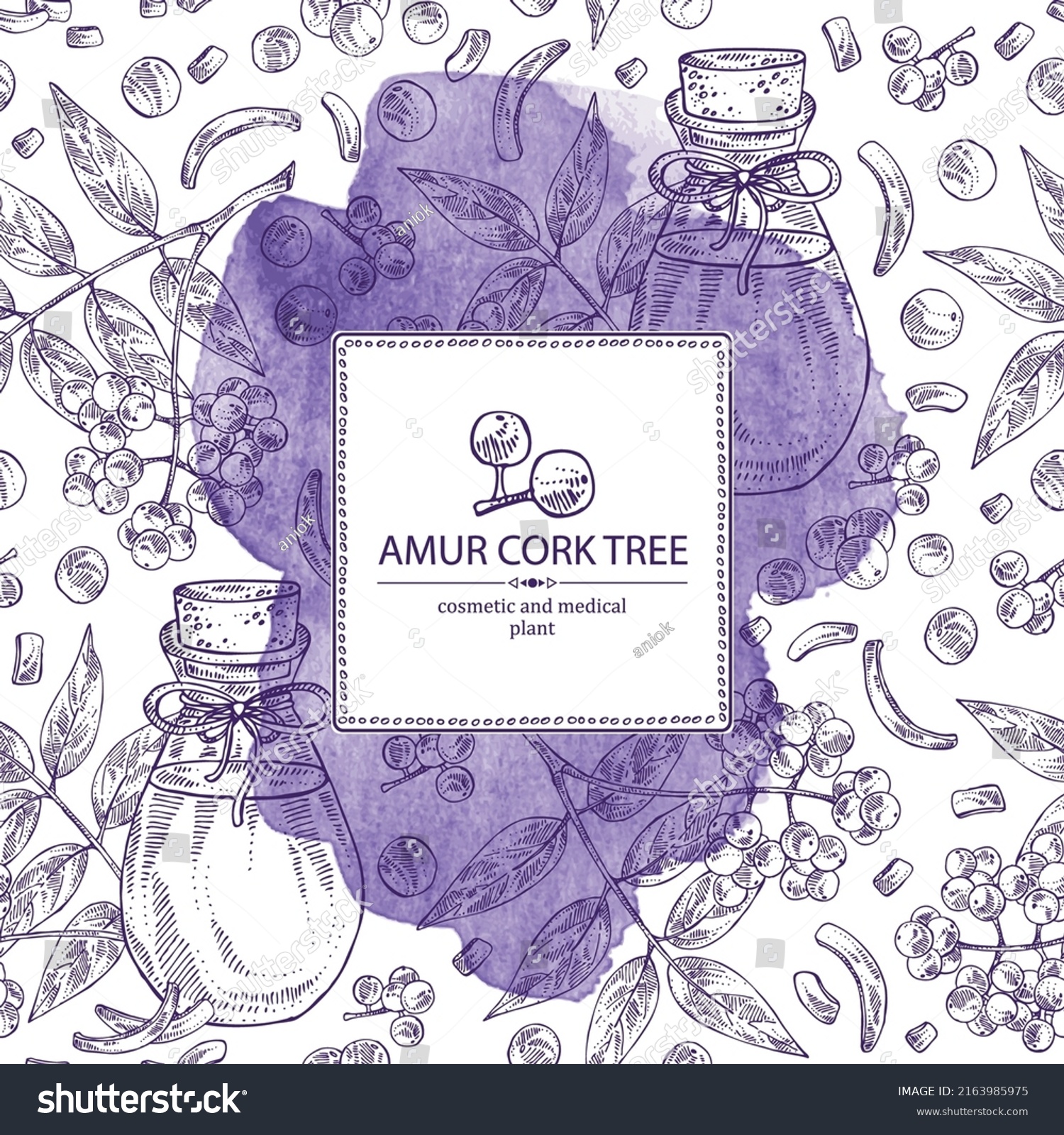 SVG of Watercolor background with amur cork tree: berries, plant, amur cork tree bark and bottle of amur cork tree oil. Phellodendron amurense.  Cosmetic, perfumery and medical plant. svg