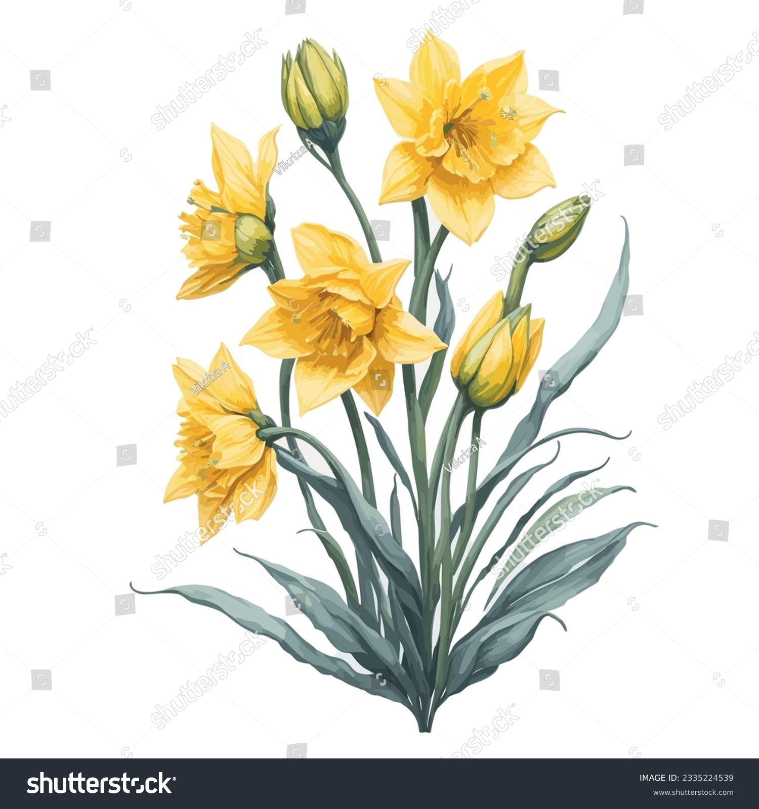 SVG of Watercolor Daffodil Jetfire Vector: This stunning vector illustration showcases the vibrant beauty of the Daffodil Jetfire flower in a watercolor style. svg