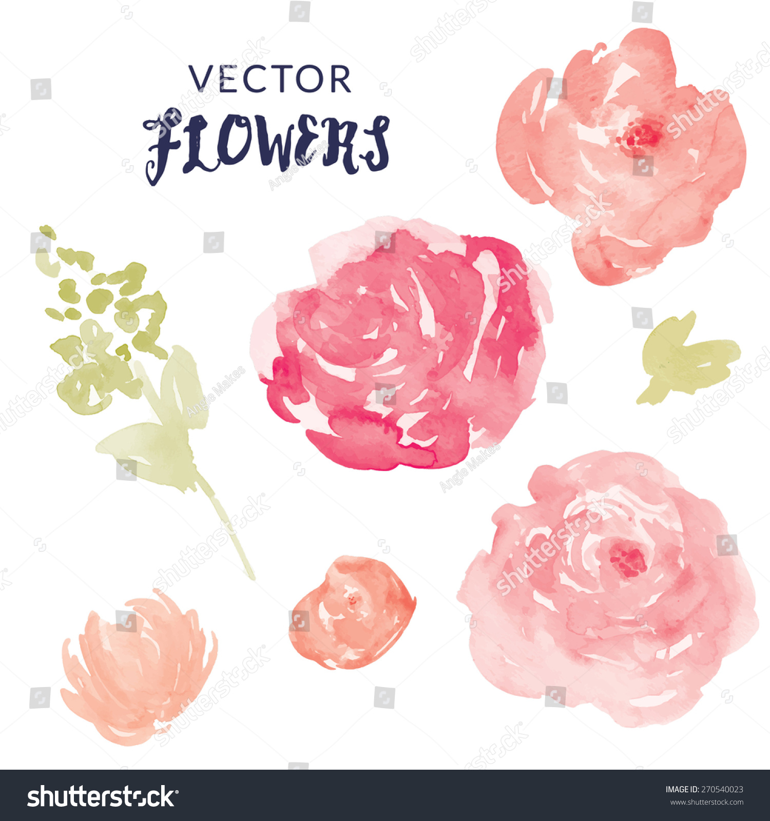 Watercolor Flower Vector With Blooms And Leaves. Pink Vector Watercolor ...