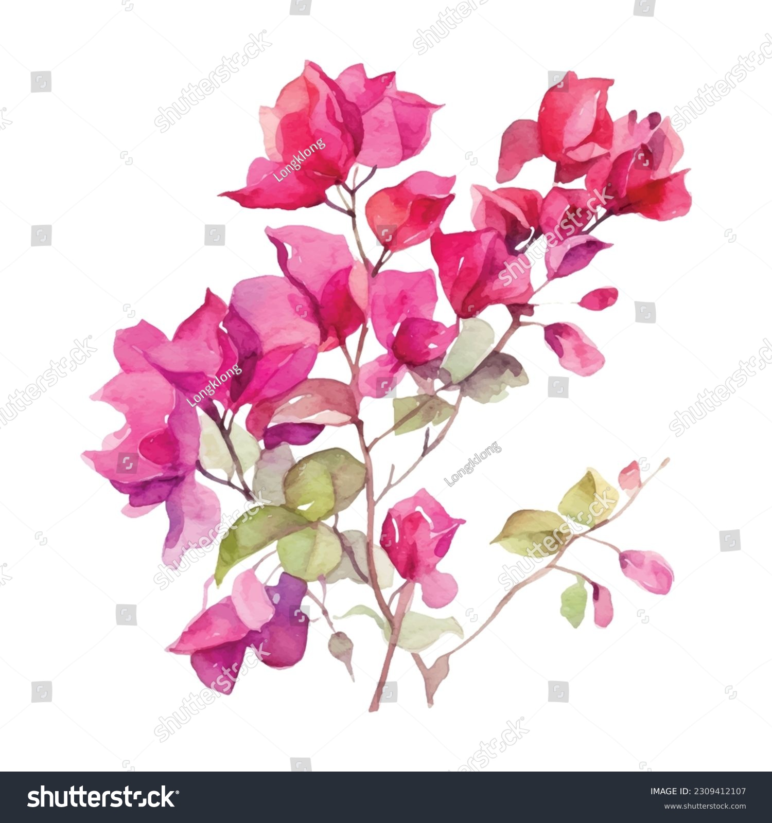 SVG of Watercolor hand drawn pink bougainvillea flower. Can be used as print, postcard, package design, invitation, greeting card, textile, stickers. svg