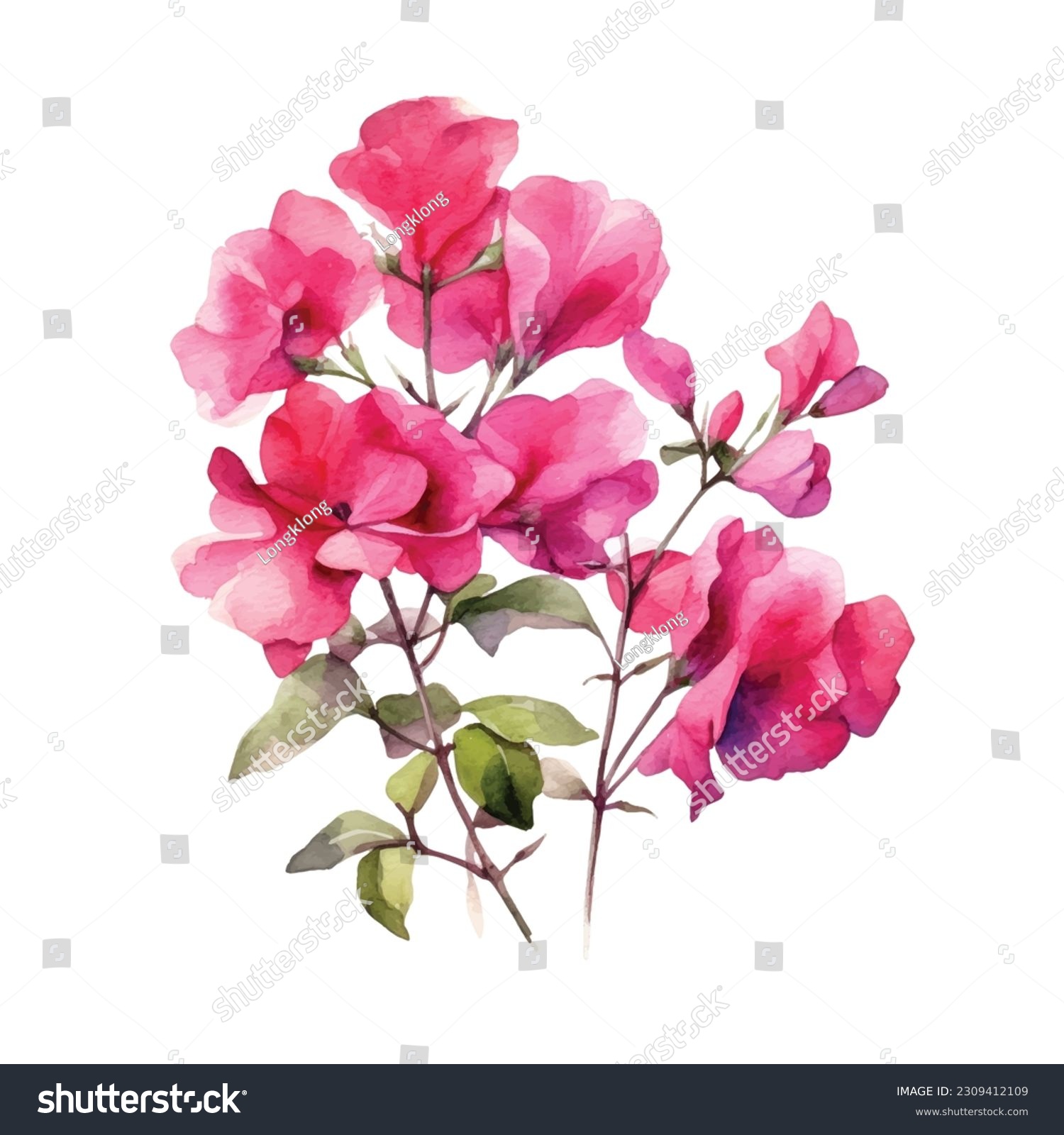 SVG of Watercolor hand drawn pink bougainvillea flower. Can be used as print, postcard, package design, invitation, greeting card, textile, stickers. svg