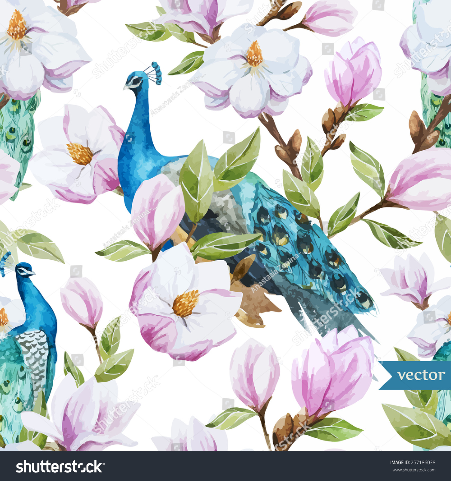 Watercolor Magnolia Flower Peacock Pattern Wallpaper Stock Vector