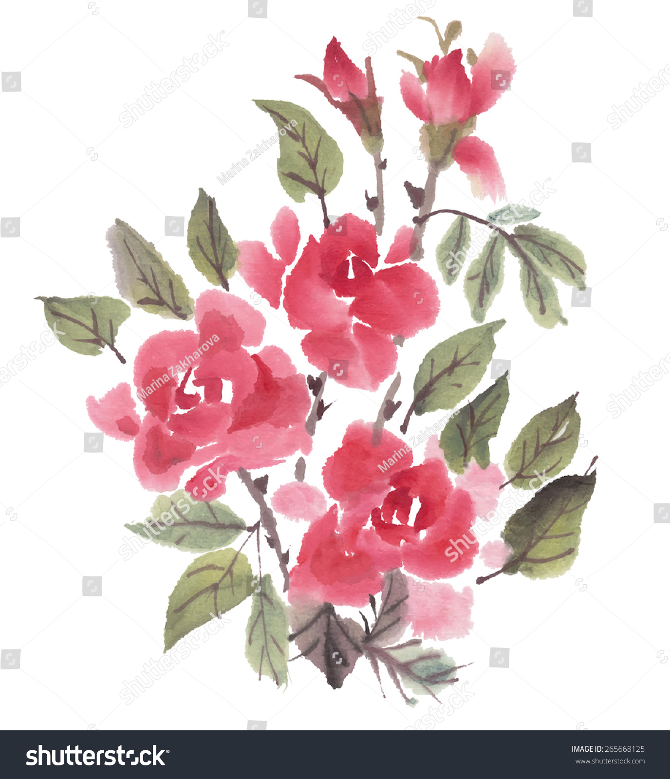 Watercolor Roses Isolated On White Background Stock Vector (Royalty ...