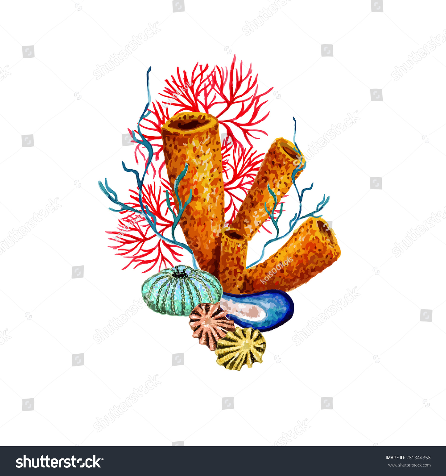 Watercolor Sponge Coral Sea Urchin Shell Stock Vector Royalty