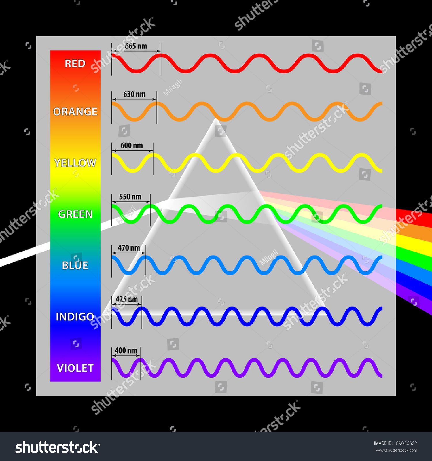 Wavelength Colors In The Spectrum Stock Vector Illustration 189036662 ...