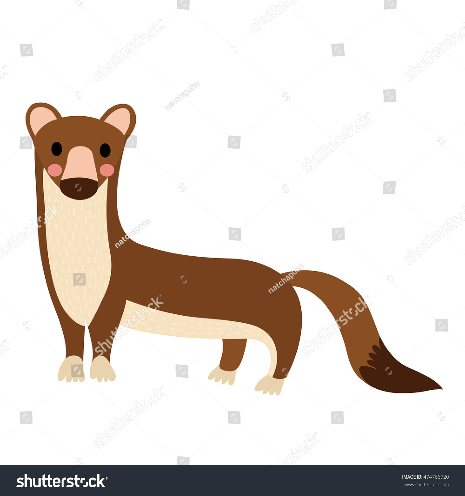 Weasel Animal Cartoon Character Isolated On Stock Vector Royalty Free