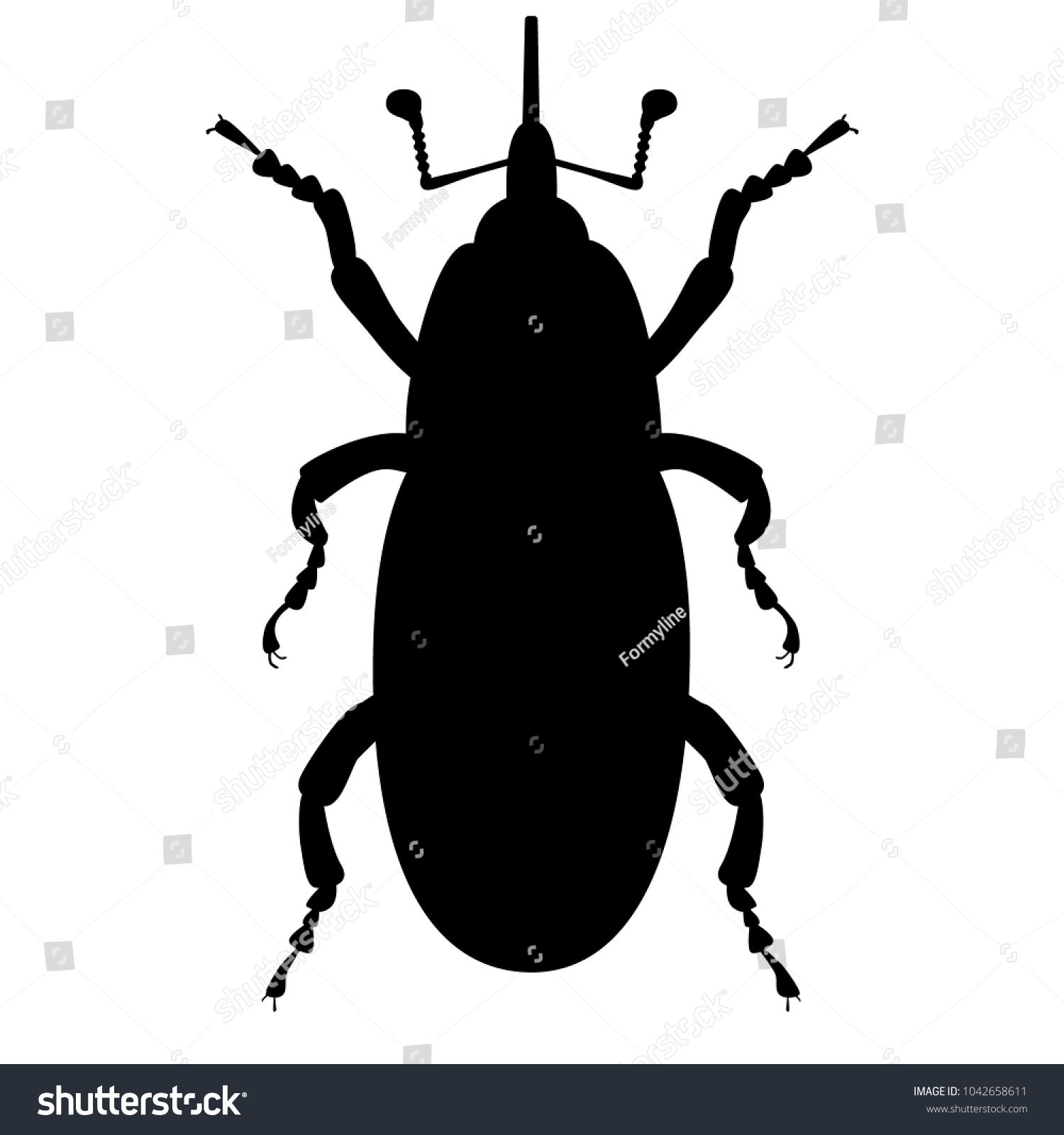 Weevil Stock Illustrations, Images & Vectors | Shutterstock